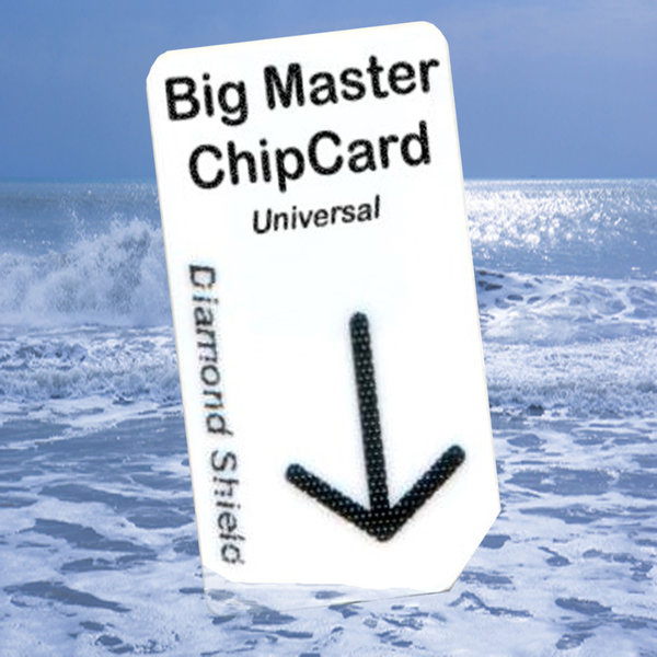 Master Chipkarte Universal BIG für DS Professional