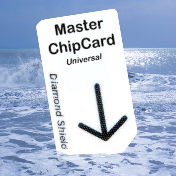 Master Chipkarte Universal für DS Professional